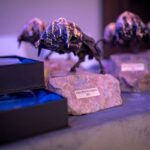 Нестле България с награда „Инвеститор на годината“ 2025 в категория „Разширяване на бизнес“